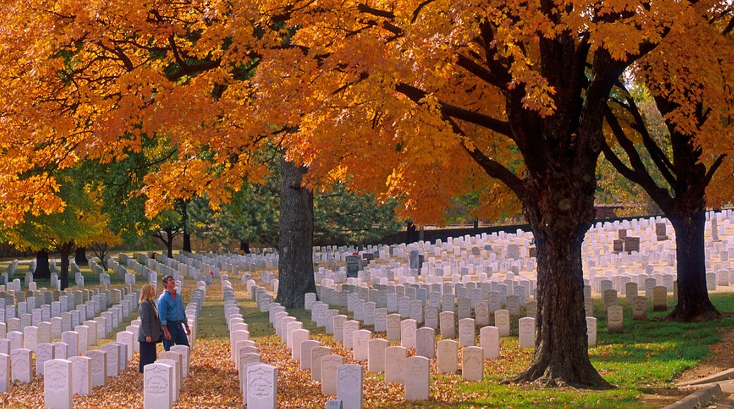 Fort Smith which includes autumn leaves and a cemetery as well as a couple
