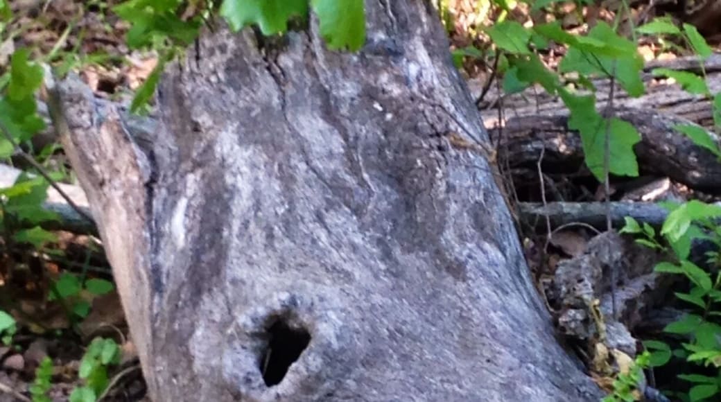 Wonderland. Bicycle trail.