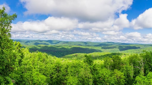 Vista Overlook Panorama of AR Hwy 7 in Russellville Arkansas