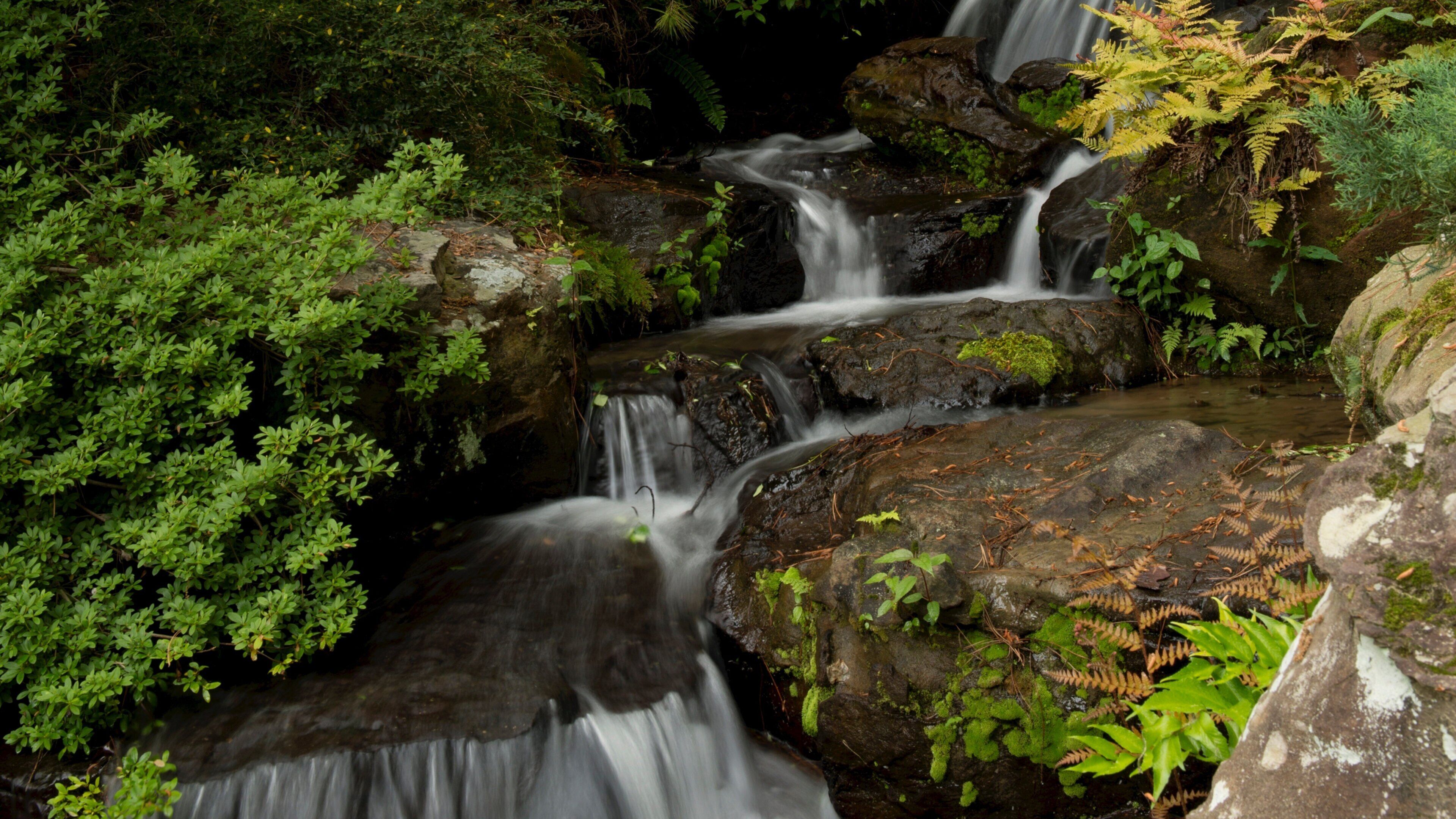 Hot Springs mostrando una catarata y un parque