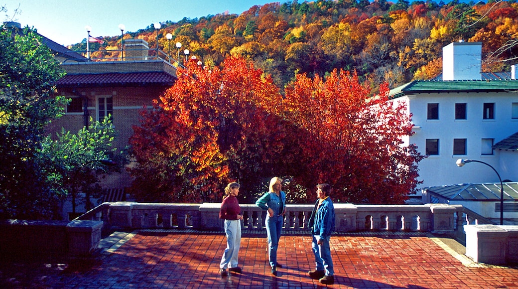 Hot Springs
