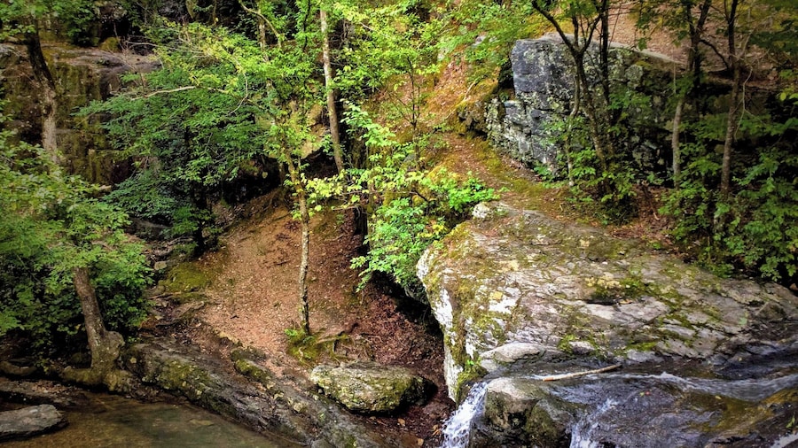 It’s a beautiful hike to the Falls. #waterfalls #hiking