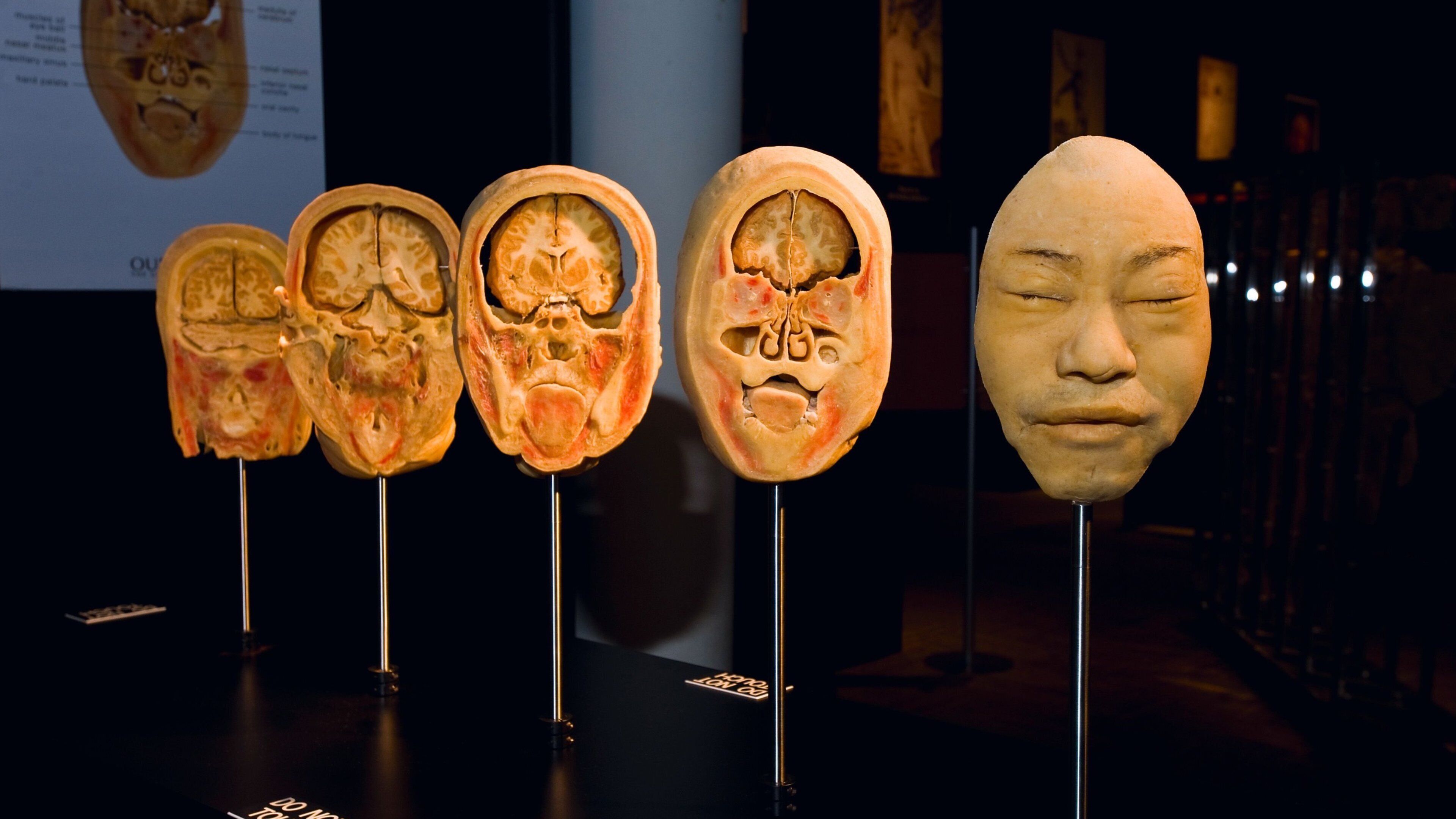 Hot Springs which includes interior views