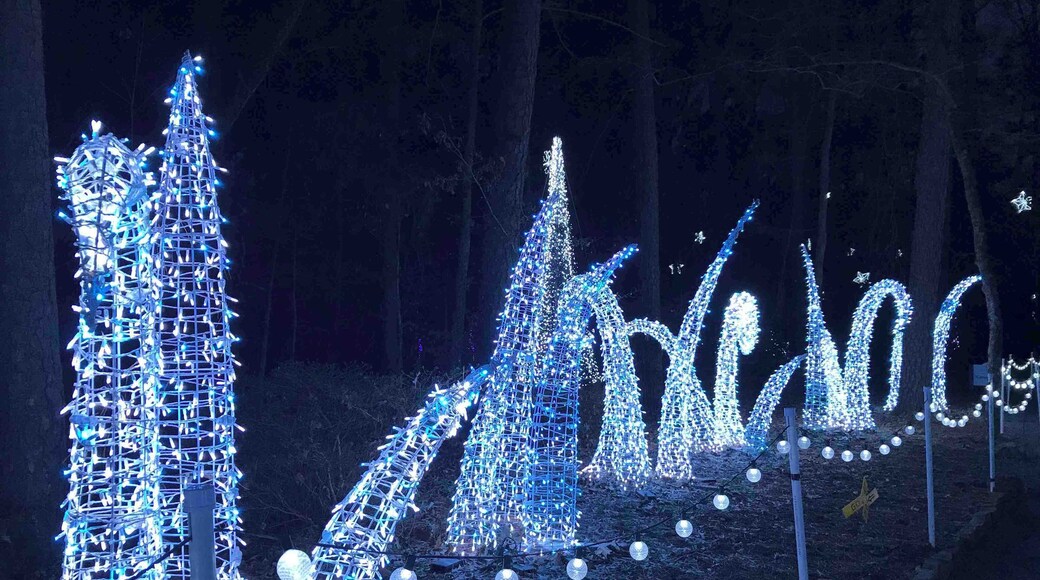 Beautiful light display at Garvan Woodland Gardens holiday lights.
#holidaylights #arkansas #hotsprings #blue