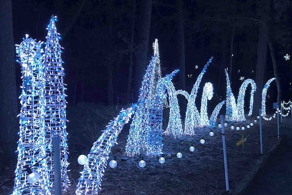 Beautiful light display at Garvan Woodland Gardens holiday lights.
#holidaylights #arkansas #hotsprings #blue