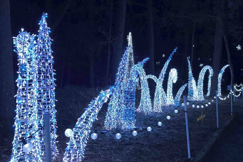 Illuminated trees and a large 'X' structure in a forest.
