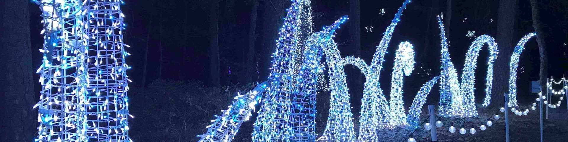 Beautiful light display at Garvan Woodland Gardens holiday lights.
#holidaylights #arkansas #hotsprings #blue
