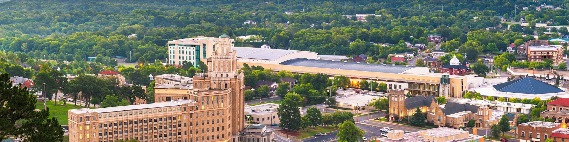 A cityscape with a prominent historic building, surrounded by lush greenery and a distant mountain range.
