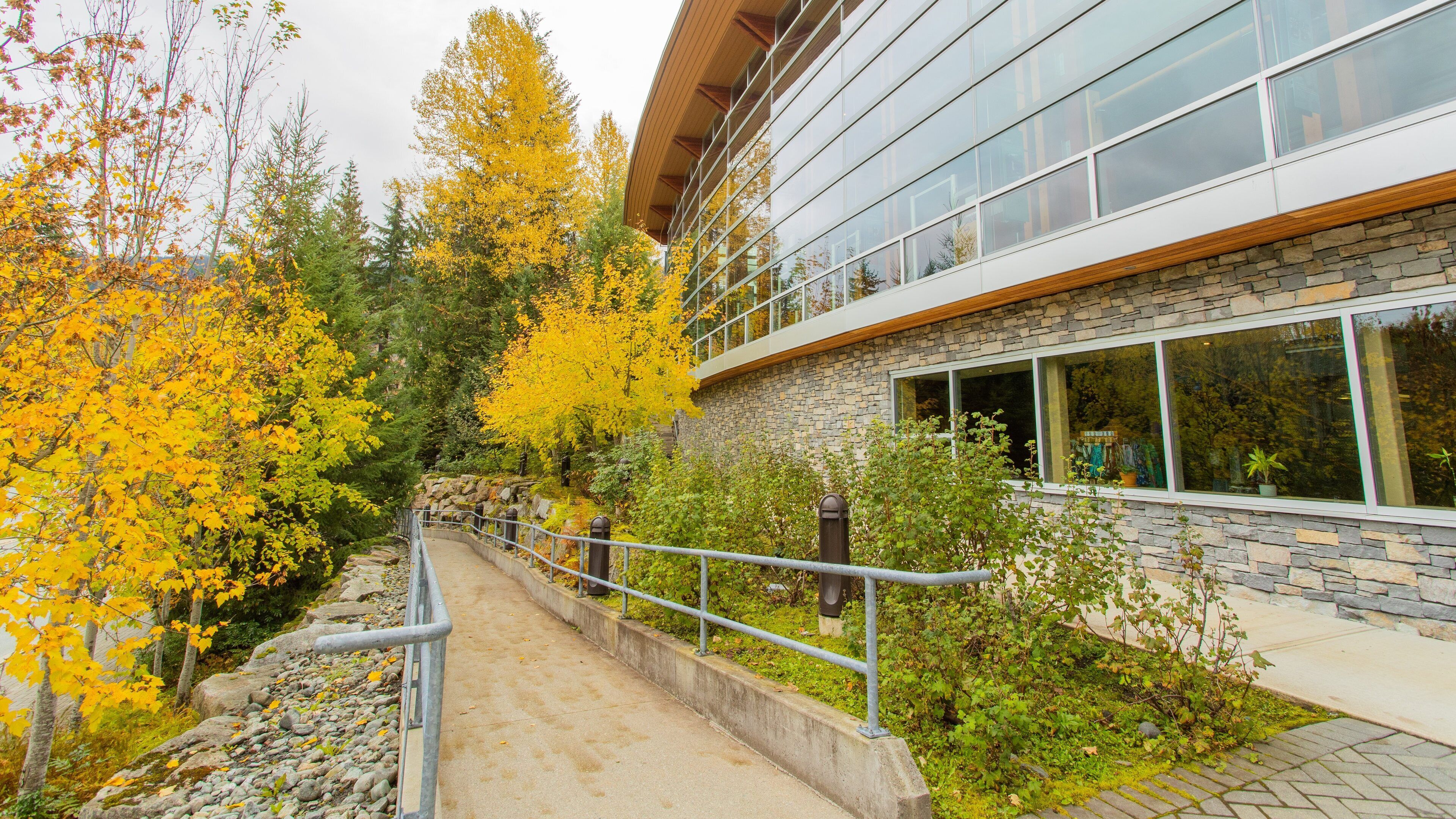 Blackcomb which includes fall colors