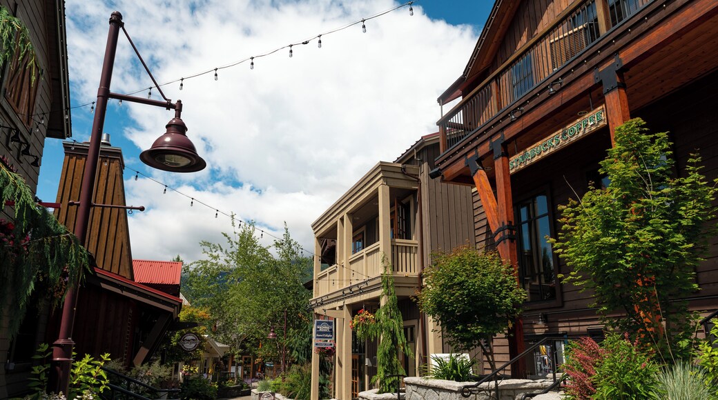 Whistler_Creekside_6058448_005