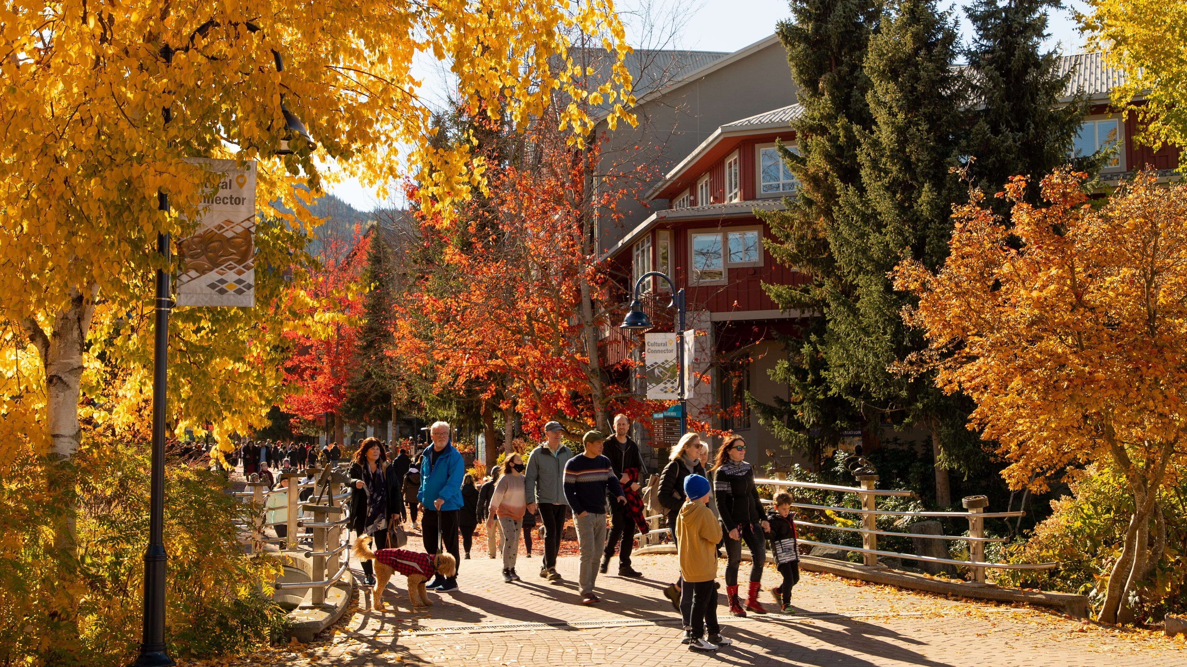 Whistler Village showing fall colors and street scenes as well as a small group of people
