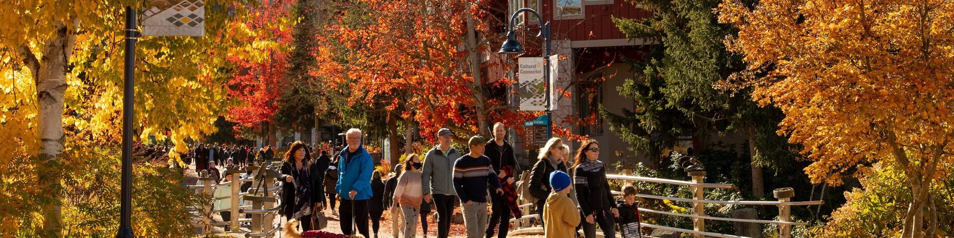 Whistler Village showing fall colors and street scenes as well as a small group of people