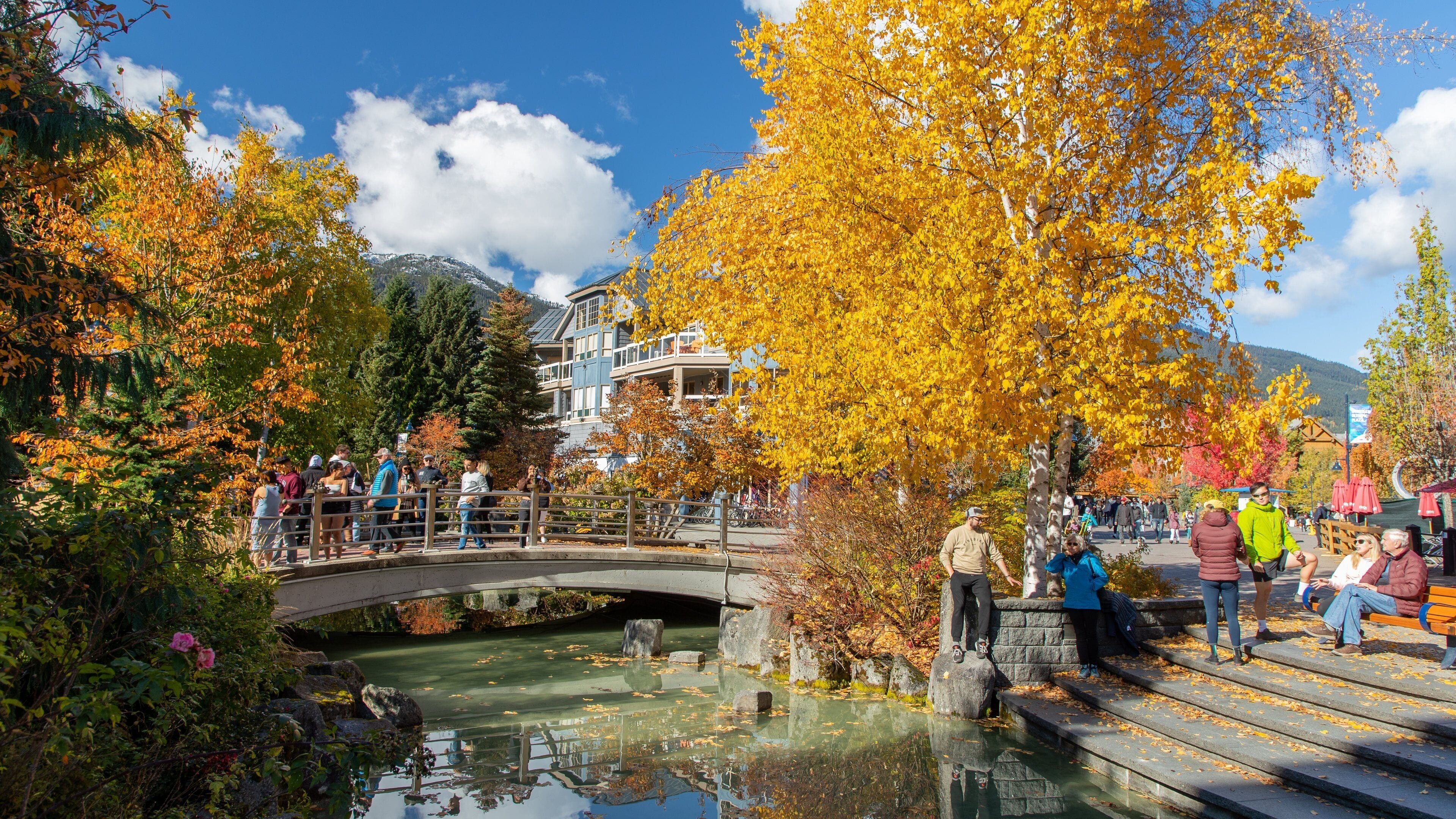 Whistler Village which includes a garden, a pond and autumn leaves