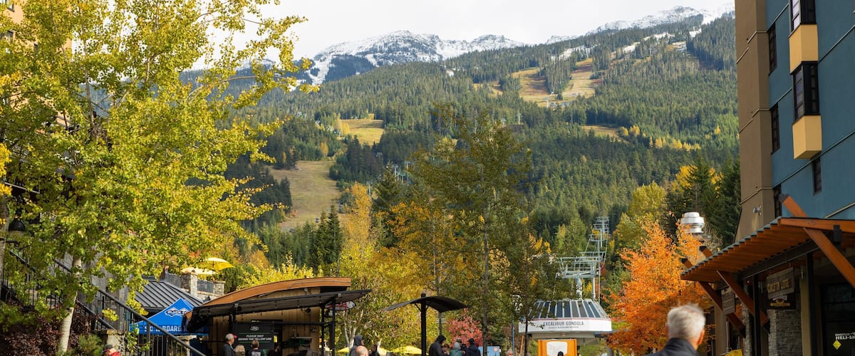 Whistler Village showing a small town or village and street scenes