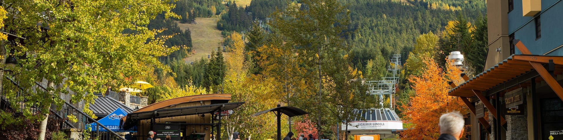 Whistler Village showing a small town or village and street scenes