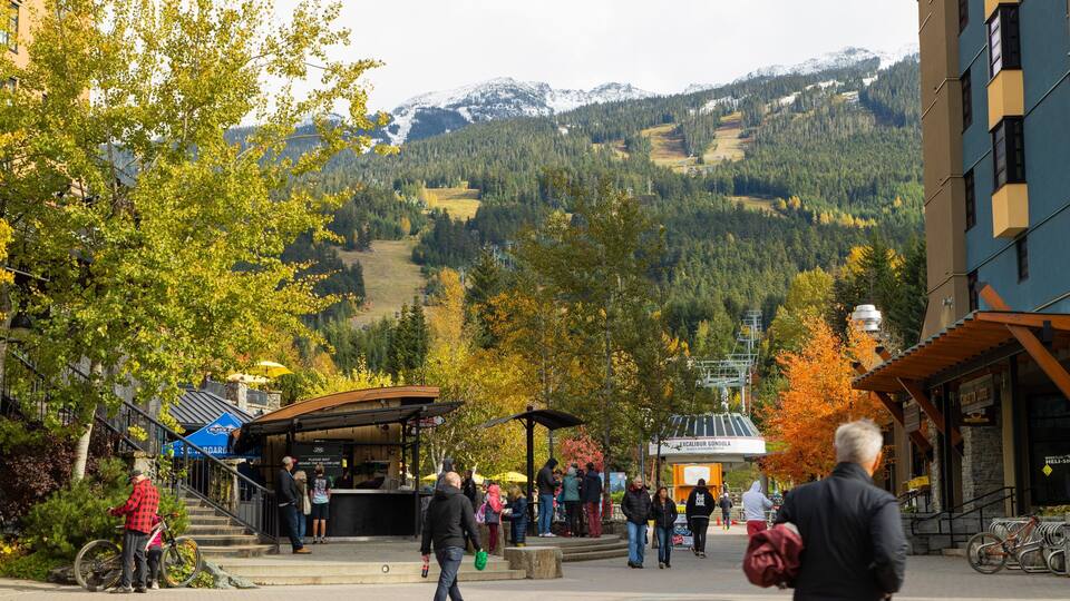 Whistler Village showing a small town or village and street scenes
