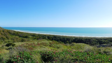 Torre Salsa natural reserve, Agrigento, Sicily - panoramic view of the lush vegetation and the long shoreline