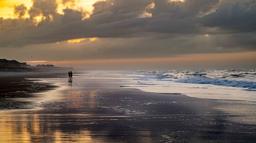 ์ ํ๋ํฑ ๋น์น