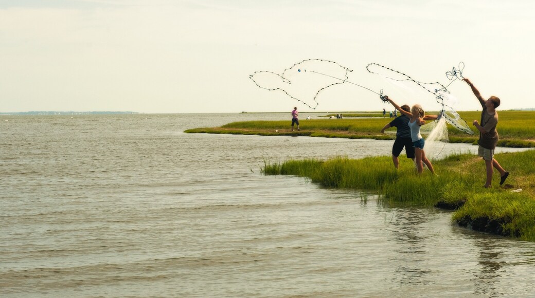 Morehead City