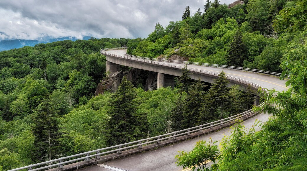 The Linn Cove Viaduct snakes around the outskirts of Grandfather Mountain and is part of the gorgeous Blue Ridge Parkway