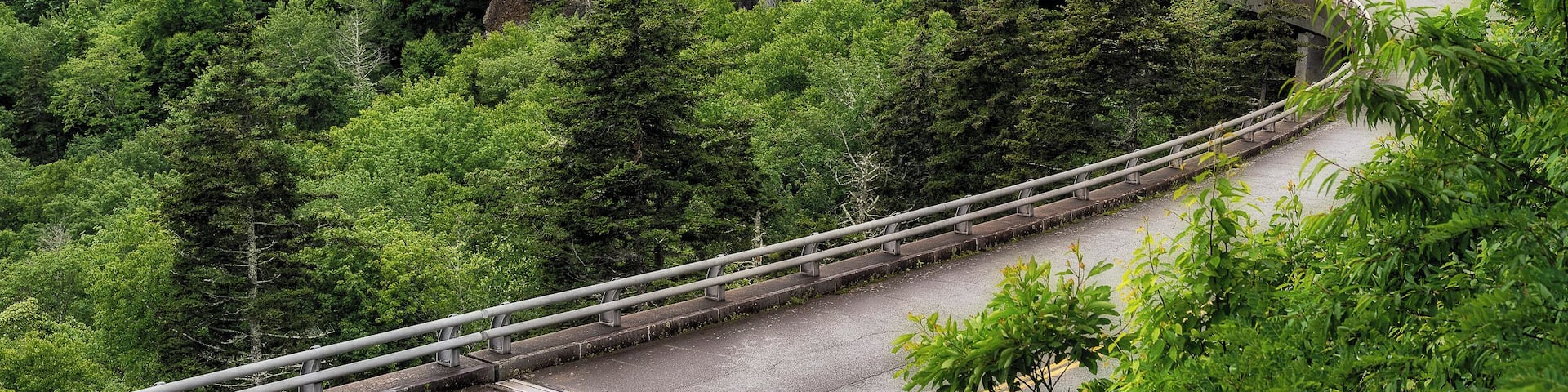 A winding road with guardrails, surrounded by dense green forest and rocky cliffs.