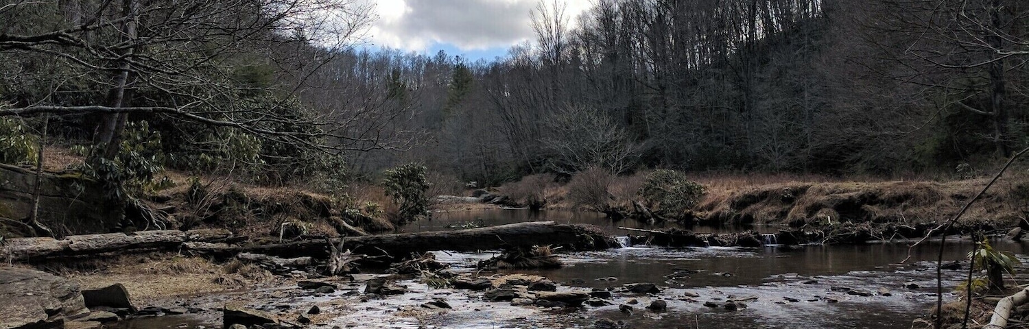 An off the path picture I took on a hike to the Hebron Rock Colony last February. A very serene setting, although there is a faint ominous feeling left by the darkened clouds. At App State we are surrounded by nature and this is one of my favorite photos that I've taken on a hike. Winter is still in effect as you can see from the barren trees and brown vegetation, but I remeber the day being warm as Spring would soon be on the way. This represents Appalachia for me because I can drive 15 minutes from my house and end up in a beautiful location such as this. #appalachianechoes