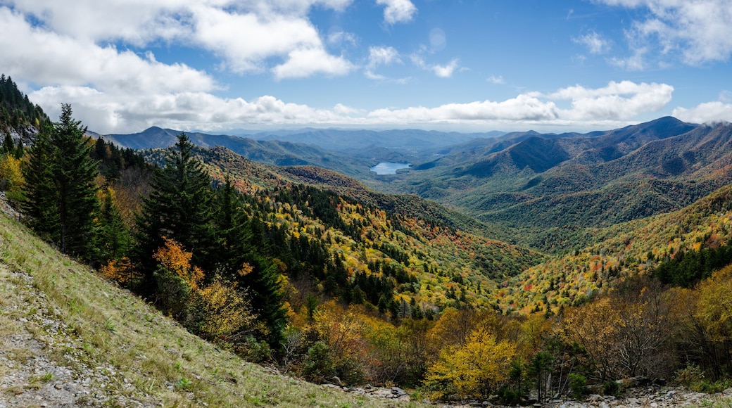 Boone