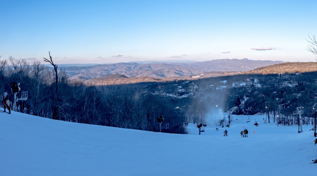 Boone