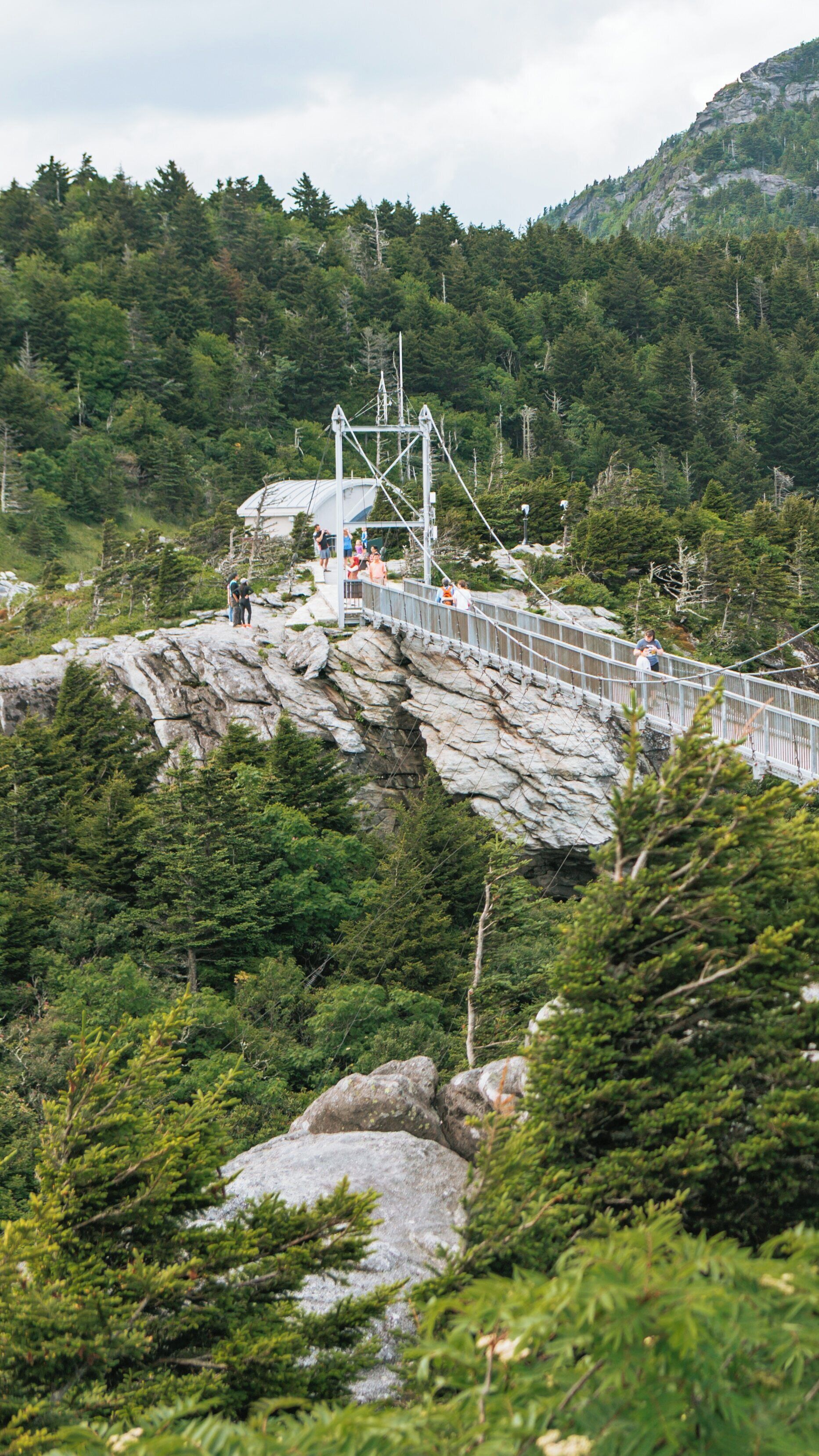 Stunning views from the swinging bridge at Grandfather Mountain in Boone, North Carolina showcasing nature and adventure