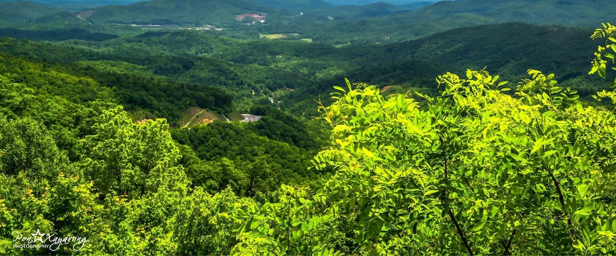 The view u get when going on 226 N to Blue Ridge Parkway at Mount Mitchell