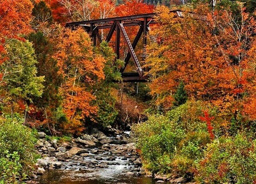 Following the northern route of Vermont Route 100 , I passed this lovely bridge with all of the fall colors and had to stop and take a photo.