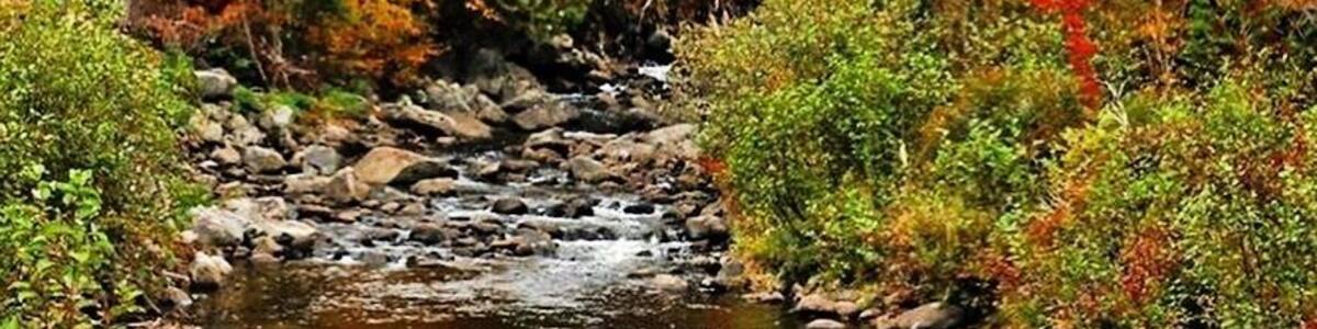Following the northern route of Vermont Route 100 , I passed this lovely bridge with all of the fall colors and had to stop and take a photo.