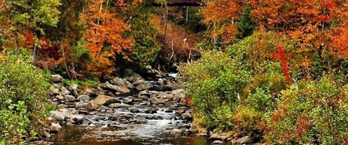 Following the northern route of Vermont Route 100 , I passed this lovely bridge with all of the fall colors and had to stop and take a photo.