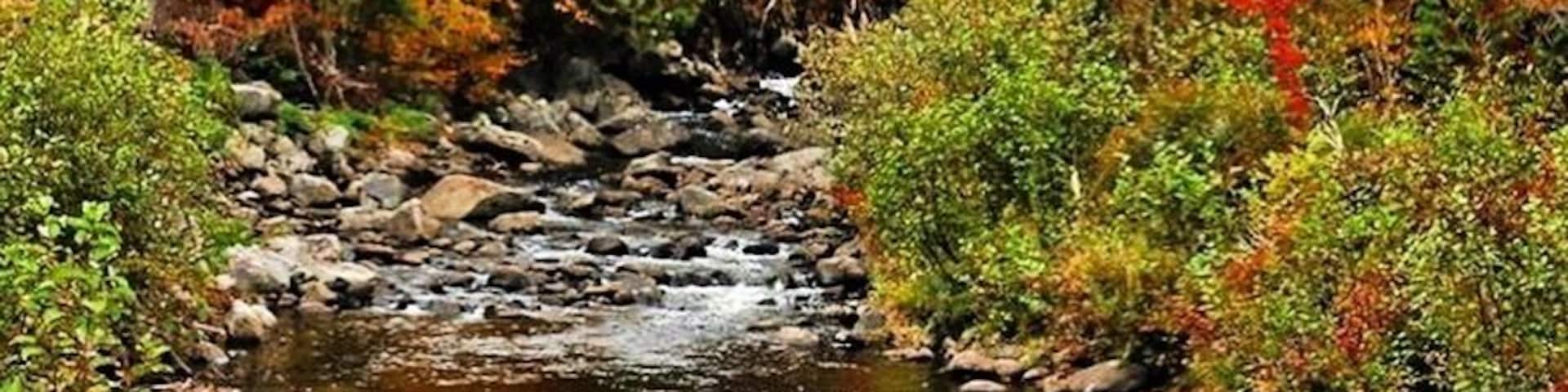 Following the northern route of Vermont Route 100 , I passed this lovely bridge with all of the fall colors and had to stop and take a photo.