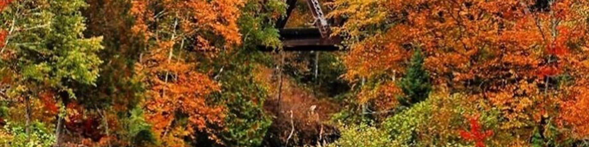 Following the northern route of Vermont Route 100 , I passed this lovely bridge with all of the fall colors and had to stop and take a photo.