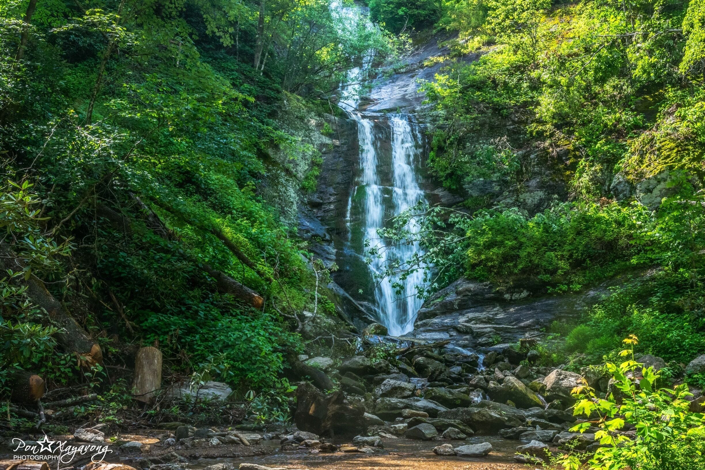 A waterfall surrounded by lush greenery.
