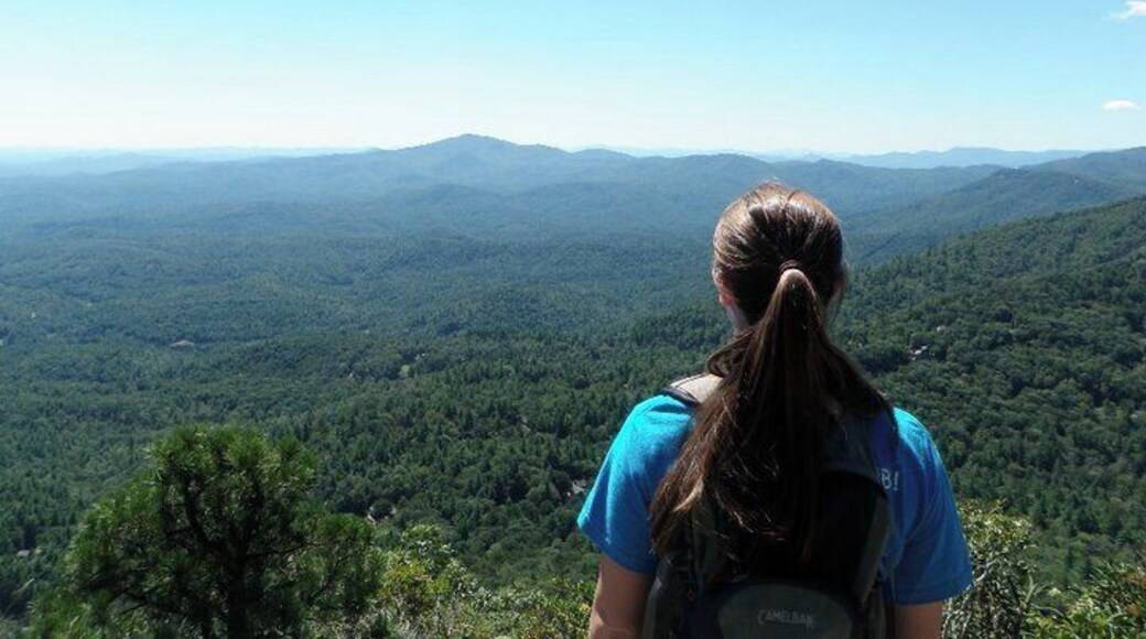 This is the view from the top of Satulah Mountain. It's a quick day hike, and not super strenuous. A great trip for beginner hikers.