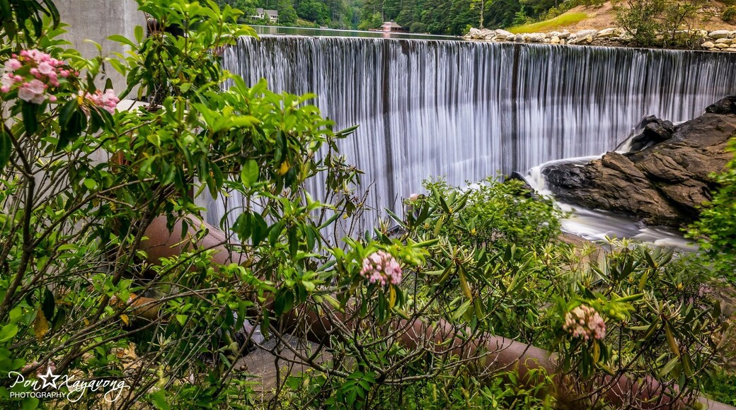 Dam turn into a nice waterfall. Side road waterfall u can see from the parking lot.
#green