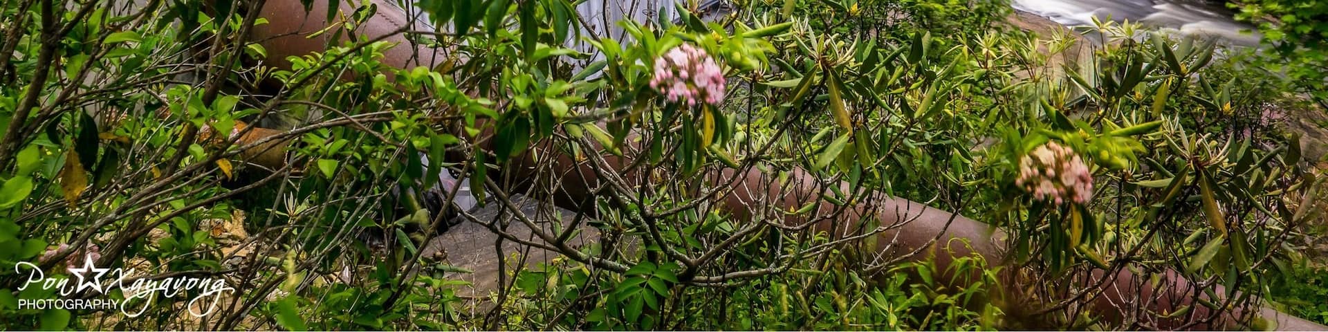 Dam turn into a nice waterfall. Side road waterfall u can see from the parking lot.
#green