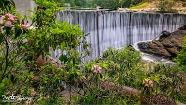 Dam turn into a nice waterfall. Side road waterfall u can see from the parking lot.
#green