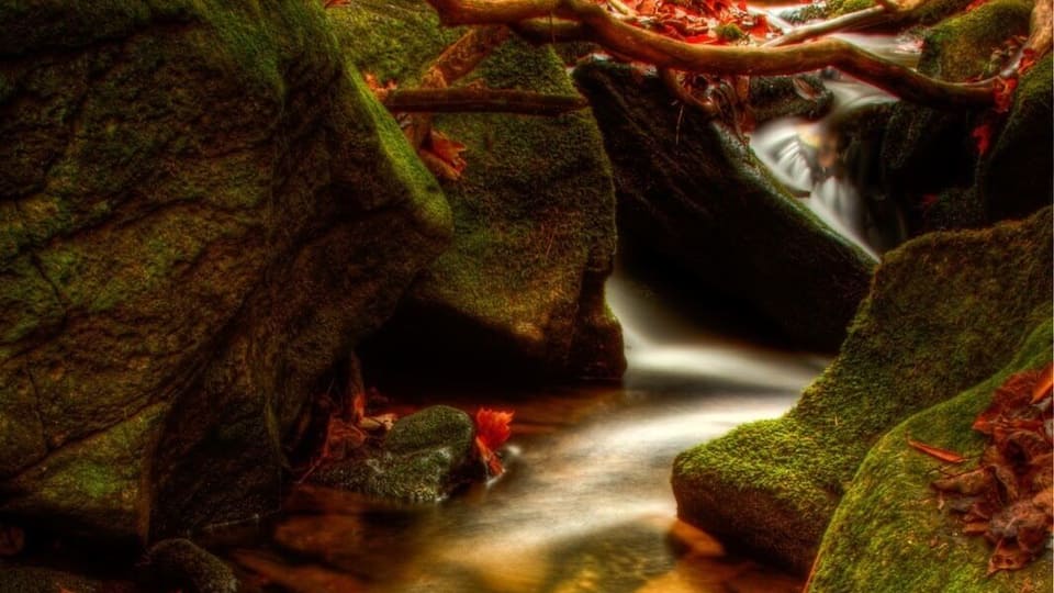 Stream meandering through the mountains
#green