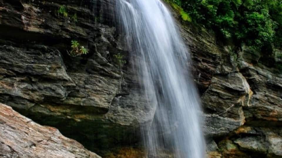 A waterfall cascading over a rocky cliff surrounded by lush greenery.