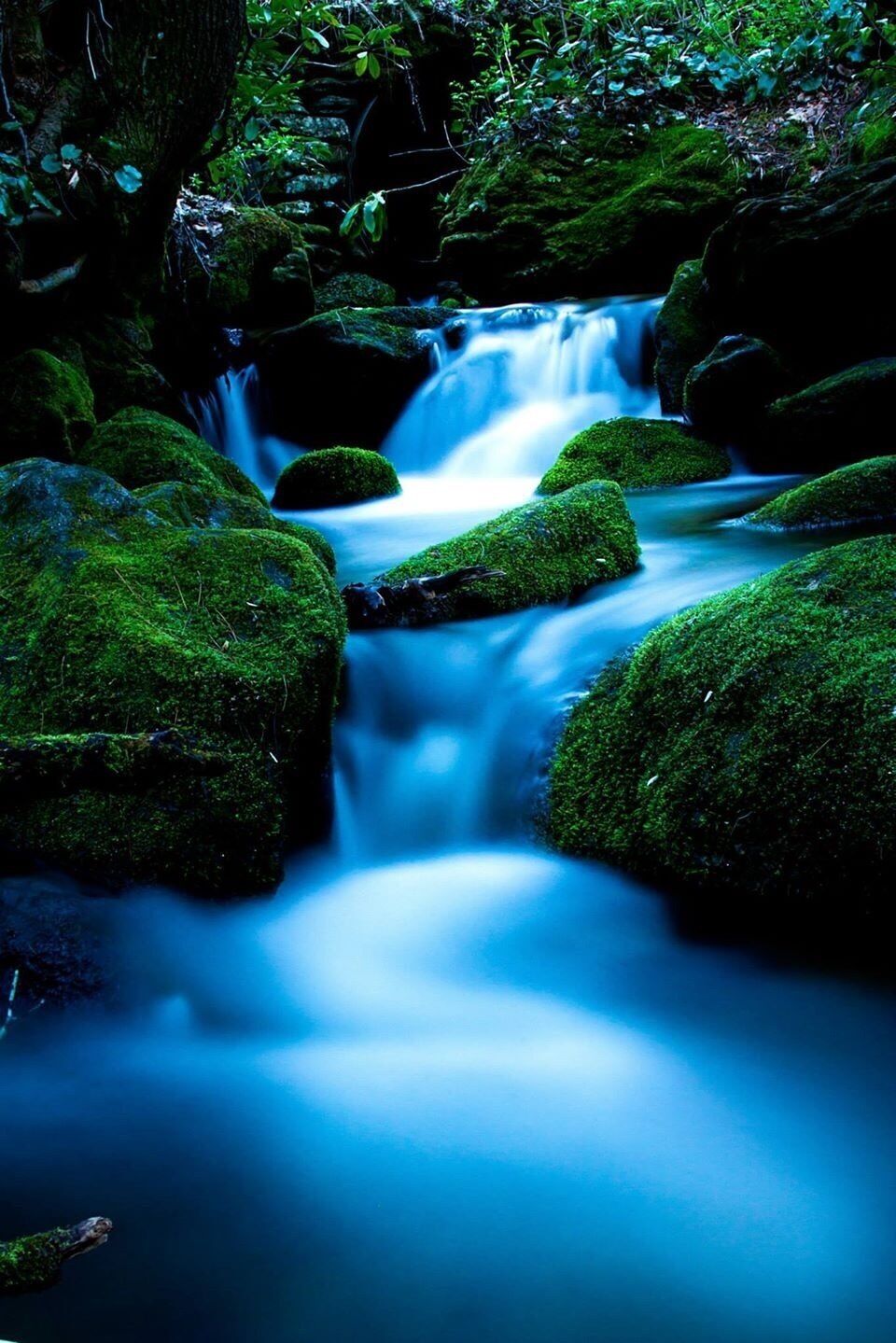The last of the evening light just before I slipped off the rock into the river. 
#river
