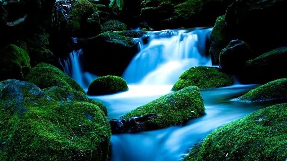 The last of the evening light just before I slipped off the rock into the river.
#river