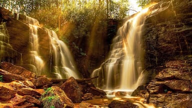 Uma cascata caindo sobre rochas em uma área arborizada.