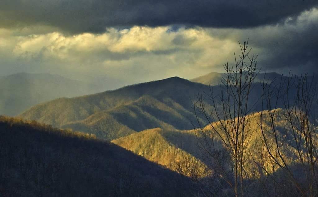 A mountainous landscape with shadows and bare trees.