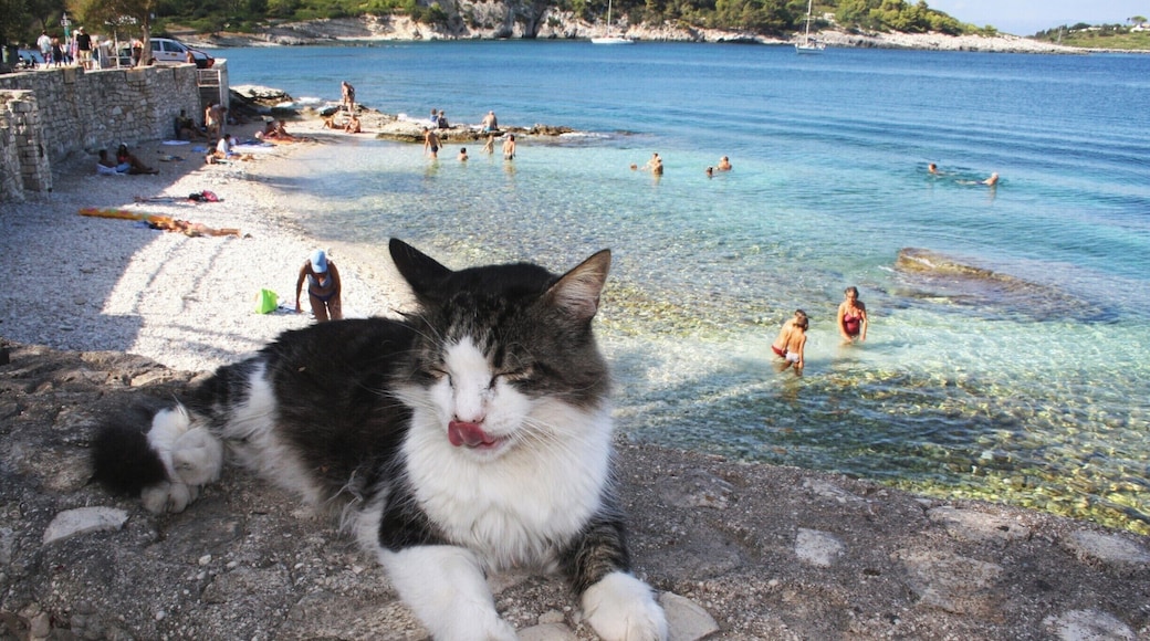 Amazing #beach and island!