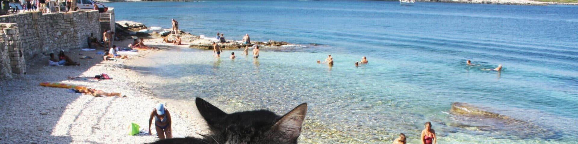 Amazing #beach and island!