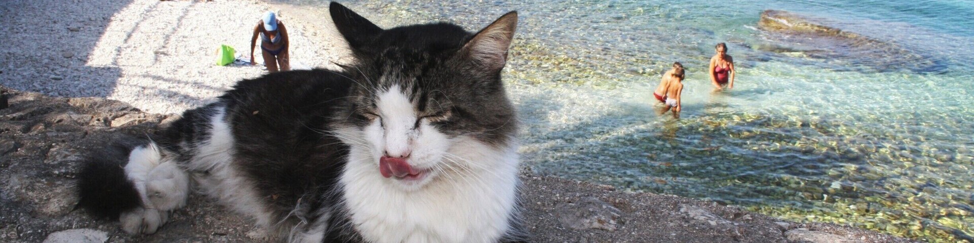 Amazing #beach and island!