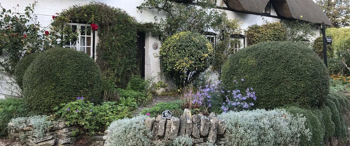 A thatched-roof cottage with white walls, surrounded by well-maintained hedges and flowering plants.